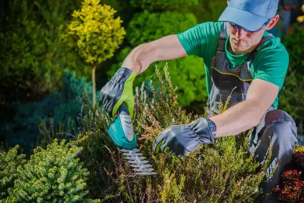 landscaping services Ellenville